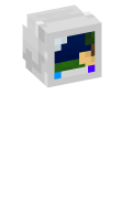 Skinfile