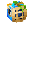 Skinfile