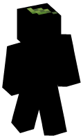 Skinfile