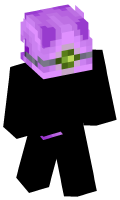 Skinfile