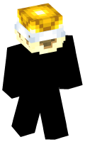 Skinfile
