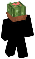 Skinfile