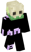 Skinfile