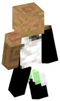 Skinfile