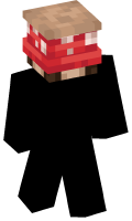 Skinfile