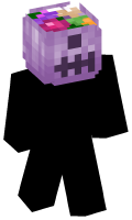 Skinfile