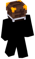 Skinfile