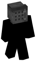 Skinfile