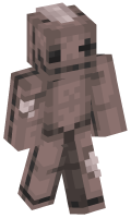 Skinfile