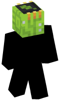 Skinfile
