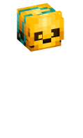 Skinfile