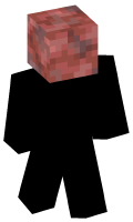Skinfile