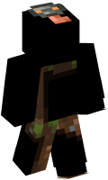 Skinfile