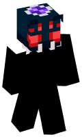 Skinfile