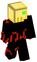 Skinfile