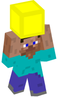 Skinfile