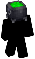 Skinfile