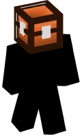 Skinfile