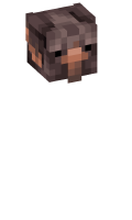 Skinfile