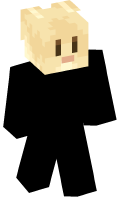Skinfile