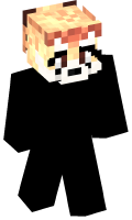 Skinfile