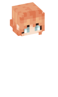 Skinfile