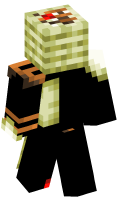 Skinfile