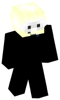 Skinfile
