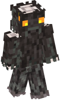 Skinfile