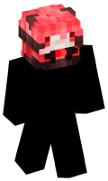 Skinfile