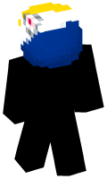 Skinfile