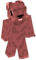 Skinfile