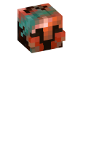 Skinfile