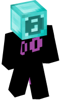 Skinfile