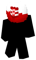 Skinfile