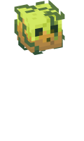 Skinfile
