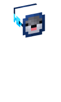 Skinfile