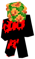 Skinfile