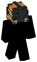 Skinfile