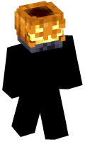 Skinfile