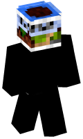 Skinfile