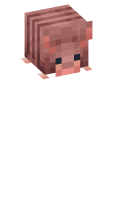 Skinfile