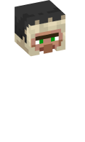 Skinfile