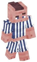 Skinfile