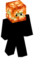 Skinfile