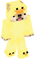 Skinfile