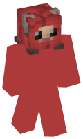 Skinfile