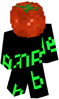 Skinfile