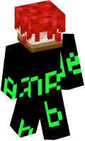 Skinfile