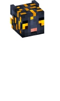 Skinfile